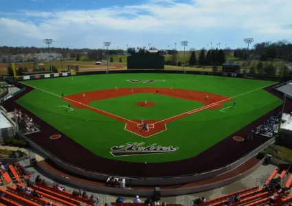 7de7e802a7336fc3b5c40748ef2898e4--astroturf-virginia-tech
