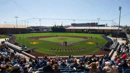 Michigan baseball stadium with fans